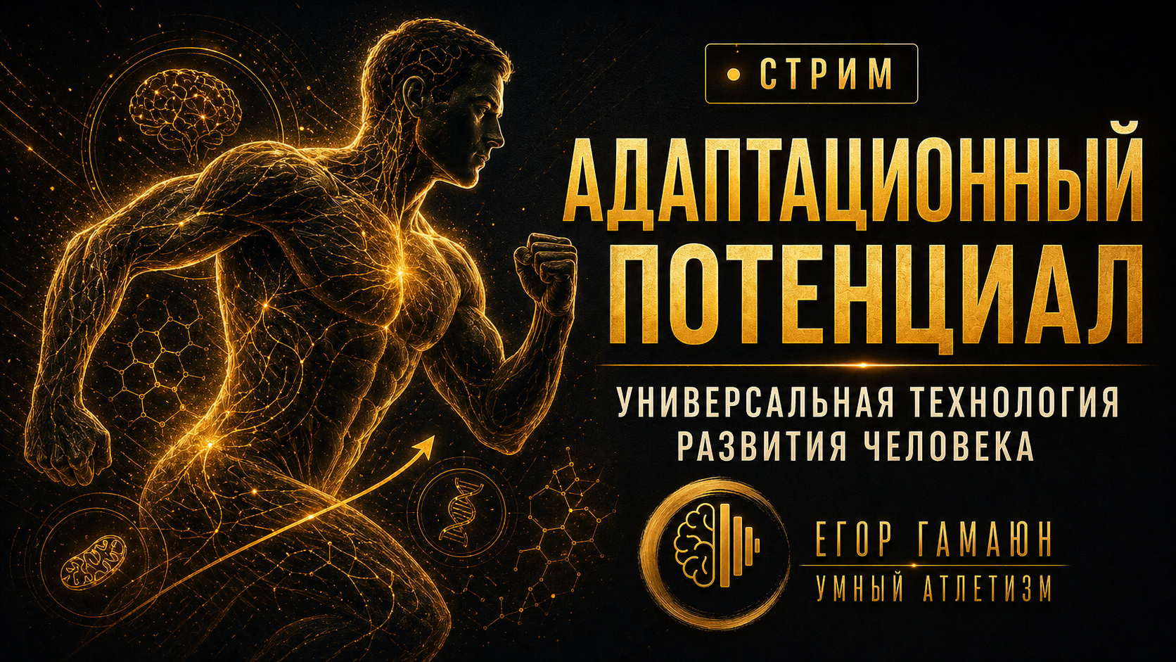 481ed3de-5c10-4dd7-abbd-9fe6ba08981f.png